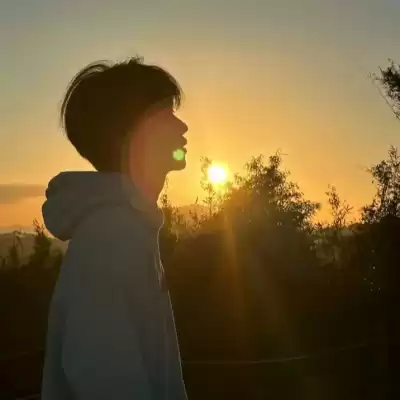 庄修敏